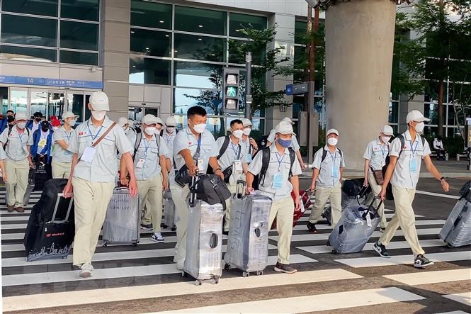 Tổng quan thị trường xuất khẩu lao động năm 2024