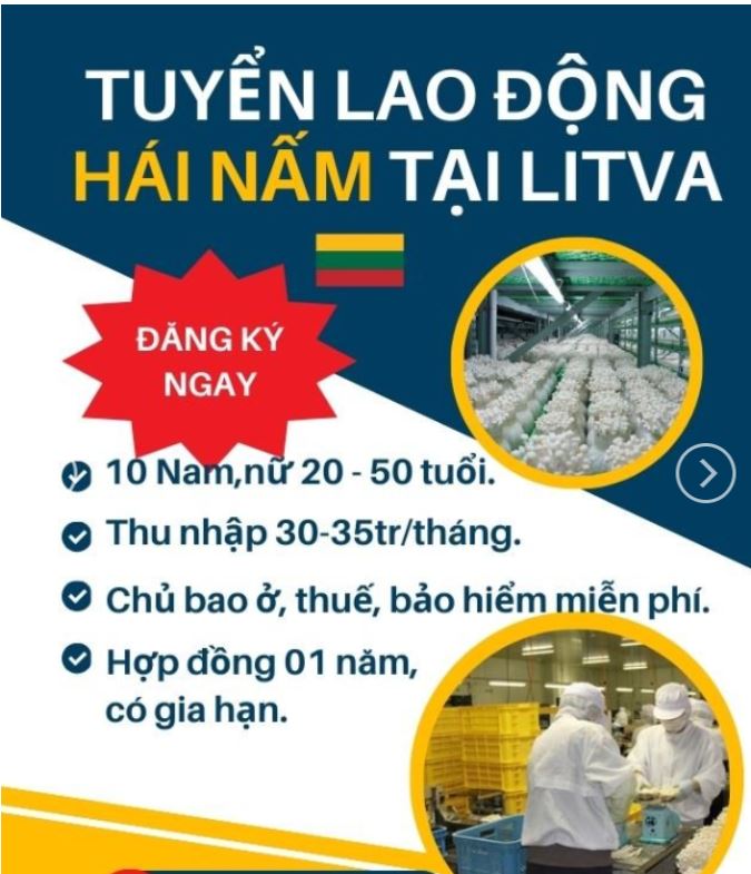xklđ Litva 2025